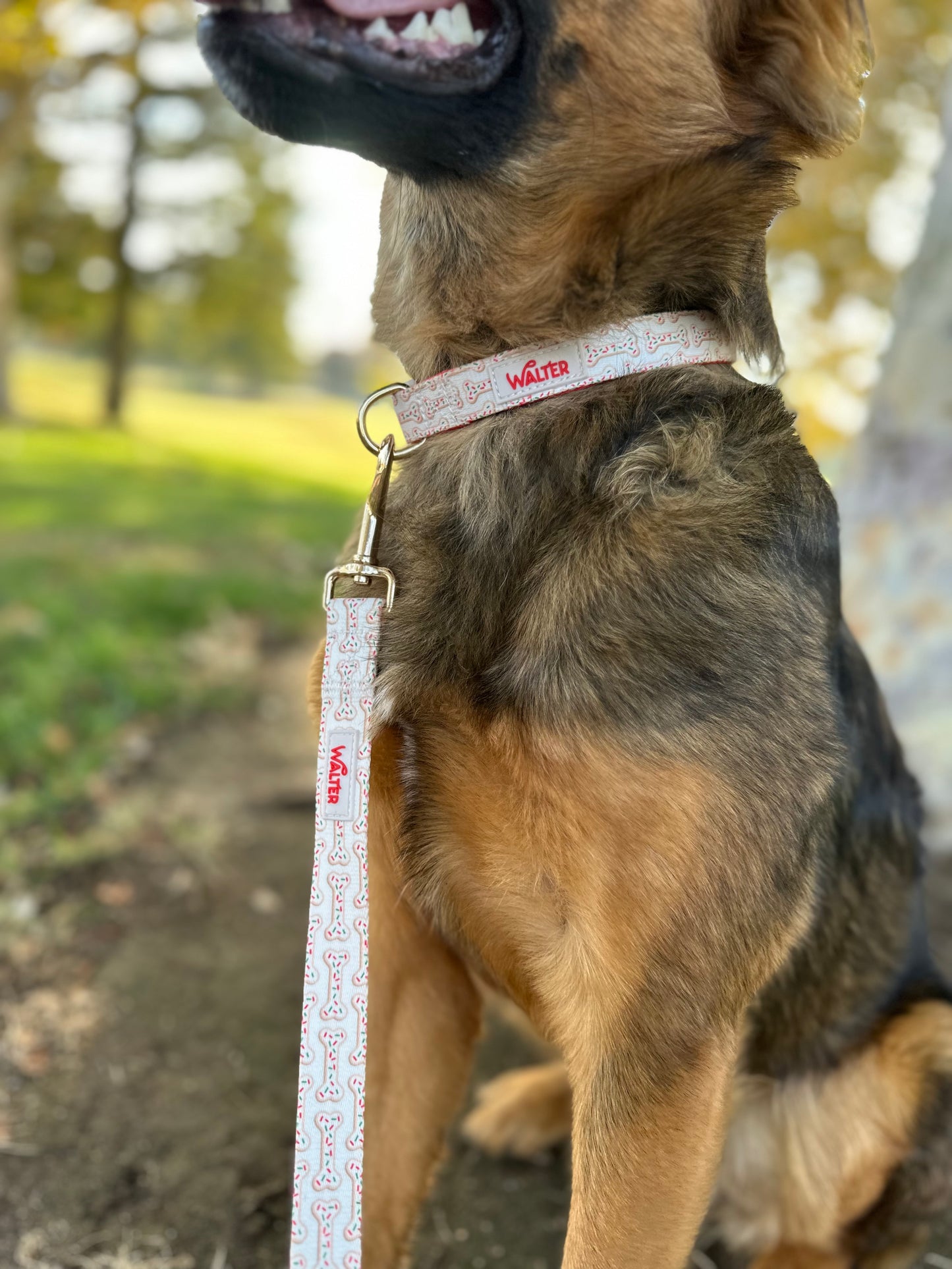 Cookie Dog Collar